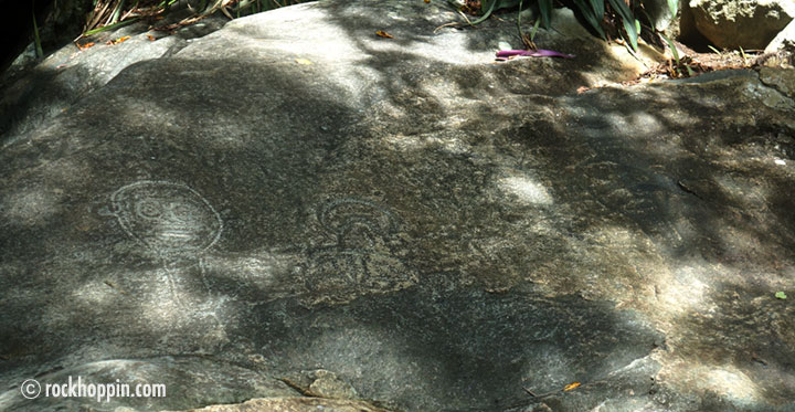 reef-bay-hike-petroglyphs-stjohn-usvi